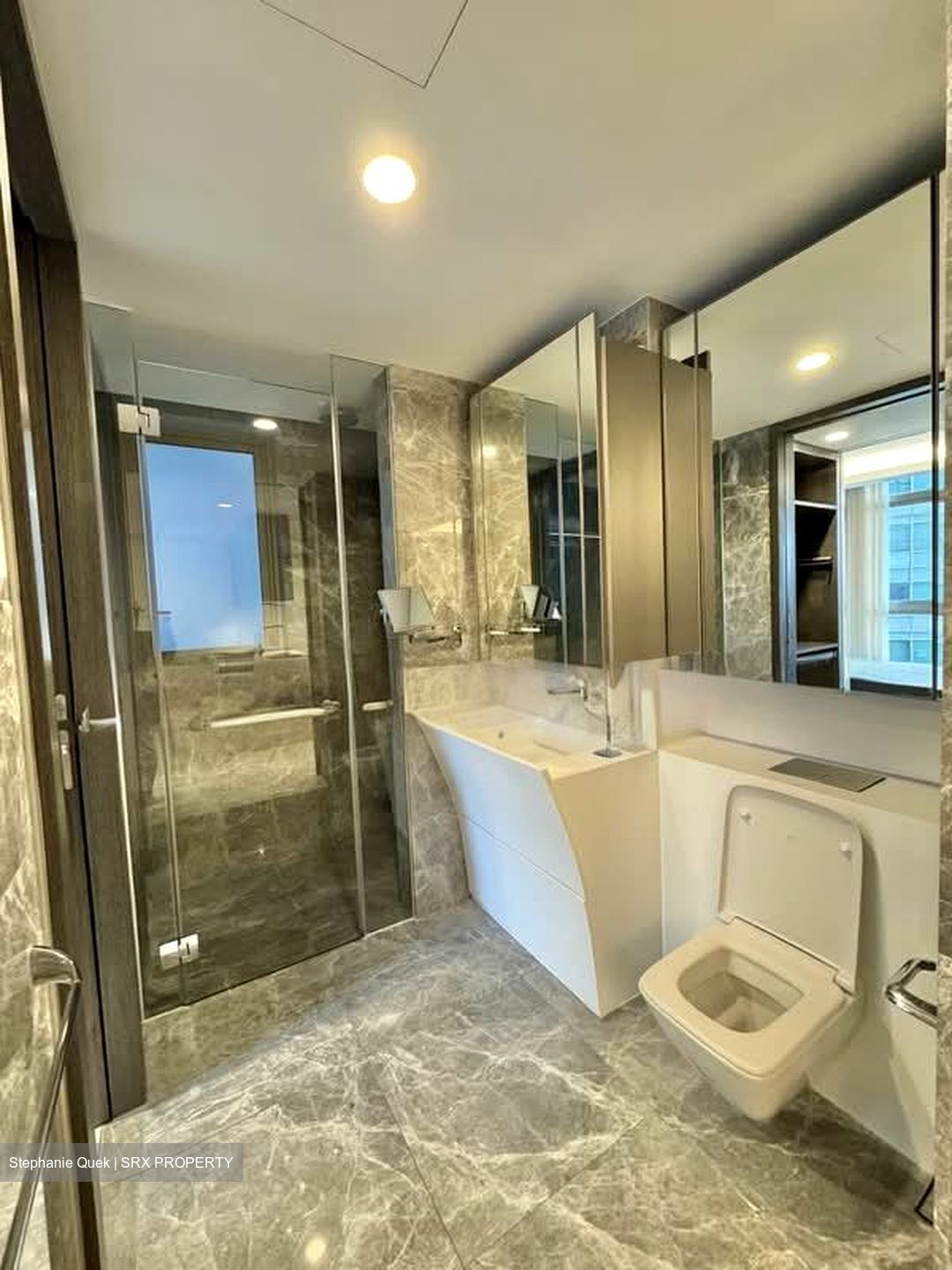 Cairnhill Nine (D9), Apartment #553998751